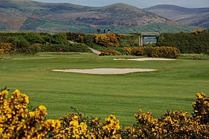 Golf course near Greenore - geograph.org.uk - 415049