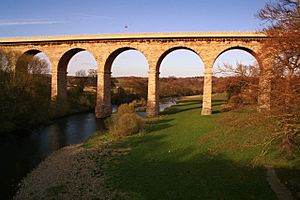 Newton Cap Viaduct-by-Neville-Davison