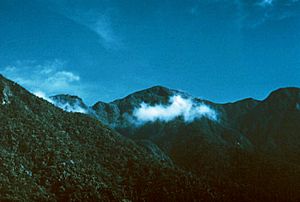 Pico Torquino in the Sierra Maestra, Cuba's highest mountain, 1974 meters