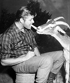 Roger Moore The Alaskans 1959