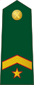 Spain-Civil Guard-OR-9a.svg