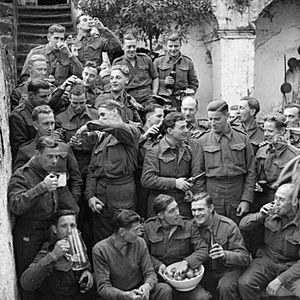 The British Army in Italy 1943 NA10138