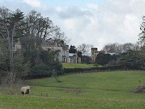 View to part of Llanerchydol Hall