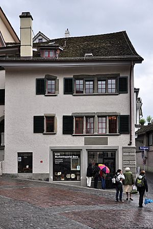 Zürich - Grossmünster - Mure - Scheuchzer IMG 1286