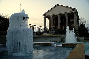 Alabama winter 2008