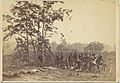 Burying the Dead on the Battlefield of Antietam, September 1862 MET DP116702