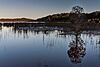 Fraser Island Lake Boomanjin Reflections.jpg