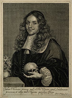 Gideon Harvey. Line engraving by P. Philippe, 1663. Wellcome V0002585.jpg