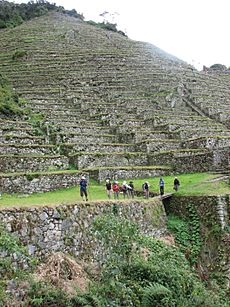Inca trail intipata