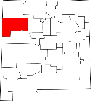 Map of New Mexico highlighting McKinley County