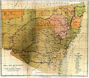 Map of New South Wales as occupied by the native tribes.jpg