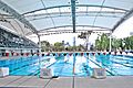 Olympic Swimming Pool - Fast Lane