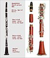 Parts of clarinet 3
