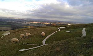 The head of the White Horse of Uffington