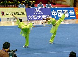 10th all china games Jian pair 406 cropped