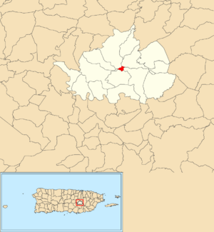 Location of Cidra barrio-pueblo within the municipality of Cidra shown in red