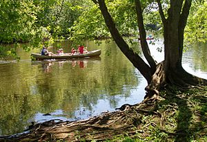 Concord River with canoes, July 2005