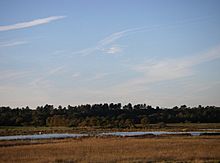Dingle marsh and Dunwich Forest - geograph.org.uk - 274585.jpg