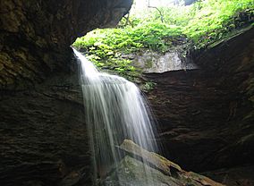 RCSP Waterfall.jpg