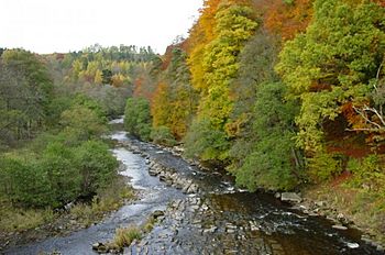 River Allen, taken from the Cupola Bridge at Whitfield - geograph.org.uk - 5753.jpg