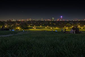 View from Primrose Hill at night