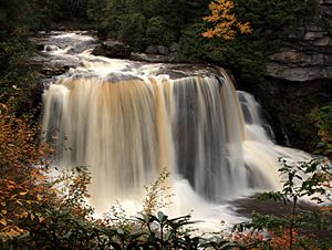 Blackwater Falls State Park West Virginia