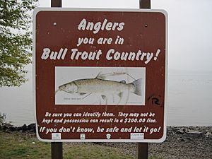 Bull trout sign at Lake Pend Oreille