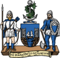 Dungarvan, County Waterford Coat of Arms