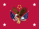 Flag of the United States Deputy Secretary of Veterans Affairs