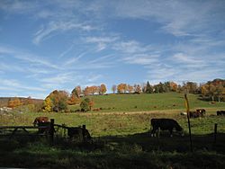 View of a farm in Richmond