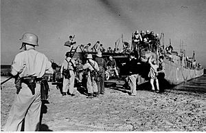 Lądowanie wojsk niemieckich na wyspie Kos (2-603)