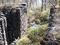 Stone walls, with vegetation between them