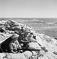 Men of the Leicestershire Rgt. man a Bren gun near Tobruk