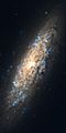 NGC 6503 Hubble WikiSky