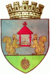 Coat of arms of Vatra Dornei