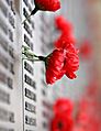 Remebrance poppy ww2 section of Aust war memorial