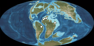 Spinosaurid fossils palaeogeographic map