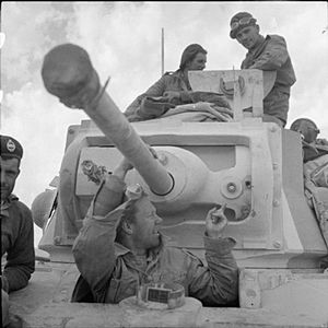 The British Army in North Africa 1940 E1498