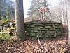 A low fieldstone wall next to a tree trunk in a wooded area