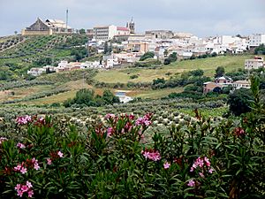 Vista de Montilla (Córdoba)