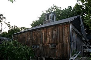 Massachusetts barn with little brown bat maternity colony (8023140187)