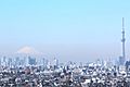 Mt.Fuji & Tokyo SkyTree (6906783193)b