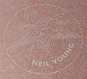 Neil Young Star cropped