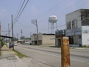 A view looking north along Connell Ave, which was the main business district, 2007. The Picher Water Tower stands in the background.