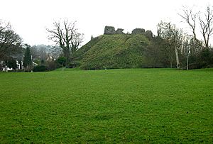 Plympton Castle - geograph.org.uk - 103022