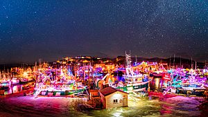 Port de Grave Christmas Boat Lighting, Newfoundland, Canada.jpg