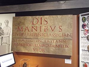 Tombstone inscription of Classicianus (replica) (8108925836)