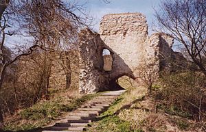 Wigmore Castle Ruins