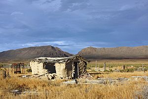 A352, Reese River Valley, Nevada, USA, abandoned shack, 2011