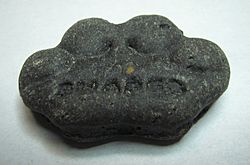 Charcoal dog biscuit